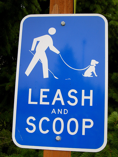Leash & clean up after Rover